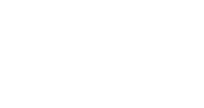 Opti Solutions